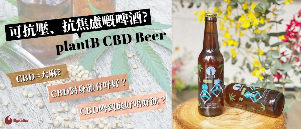 香港第一支為女士而設 嘅cbd啤酒 Plantb Cbd Beer 可抗壓 抗焦慮嘅啤酒 雲窖myicellar 香港第一支為女士而設 嘅cbd啤酒 Plantb Cbd Beer 可抗壓 抗焦慮嘅啤酒 雲窖myicellar